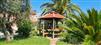 garden with exotic plantation and olive tree from provence