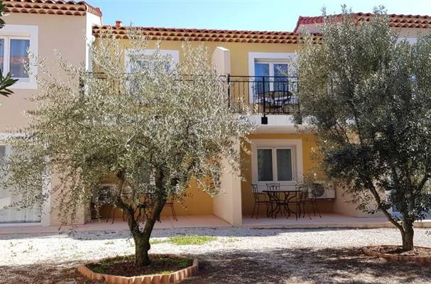 apartment in the middle of the olives trees