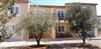 apartment in the middle of the olives trees