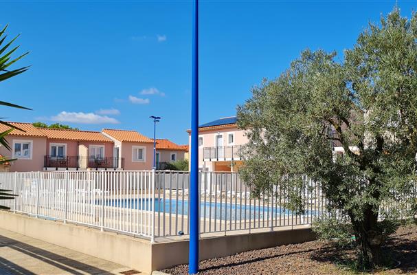 swimming pool surrounded by olive trees and exotic plants