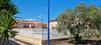 swimming pool surrounded by olive trees and exotic plants