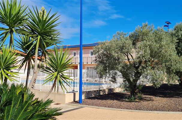 tree lined residence surrounded by olive trees and exotic garden